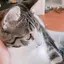 renのプロフィール画像