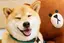 まいまいのプロフィール画像