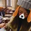 ひのプロフィール画像
