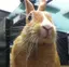 まりえのプロフィール画像