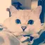 rinaのプロフィール画像