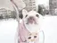 まなみのプロフィール画像