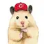 もあなのプロフィール画像