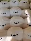 かさのプロフィール画像