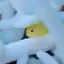 ユキのプロフィール画像