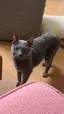 けんてぃーのプロフィール画像