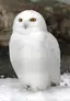 たまごのプロフィール画像