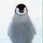 ずーのプロフィール画像