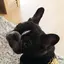 Ayaaakaのプロフィール画像