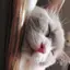あのプロフィール画像