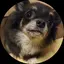 roseのプロフィール画像