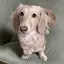 やめぴのプロフィール画像