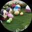 saaaのプロフィール画像