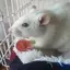 minatoのプロフィール画像
