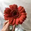 KNPのプロフィール画像