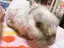 ほな。のプロフィール画像
