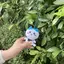 narinのプロフィール画像