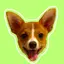 こじまあやかのプロフィール画像