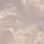 m00nのプロフィール画像