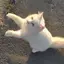 三琴のプロフィール画像
