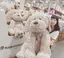 させ なゆのプロフィール画像