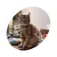 いくらのプロフィール画像