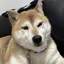 Y❤︎のプロフィール画像