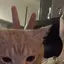 りょうのプロフィール画像