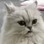 優里のプロフィール画像