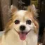 ｱｲﾐのプロフィール画像