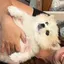 じゃがりこのプロフィール画像