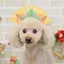 チロルチョコのプロフィール画像