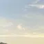 あさりのプロフィール画像