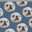 noa25のプロフィール画像