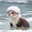 ぽんのプロフィール画像
