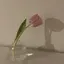 yooonのプロフィール画像