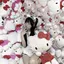 rのプロフィール画像