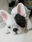 ゆまのプロフィール画像