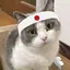菜摘のプロフィール画像