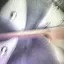 0172638wiwkのプロフィール画像