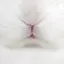まおのプロフィール画像