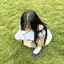 ひびきのプロフィール画像