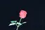あいのプロフィール画像