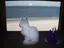 ミ☆のプロフィール画像