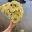 無名のプロフィール画像
