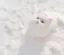 ゆにゃんのプロフィール画像