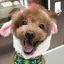 みほのプロフィール画像
