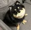 akaneのプロフィール画像