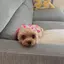 uのプロフィール画像