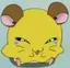 おかゆのプロフィール画像
